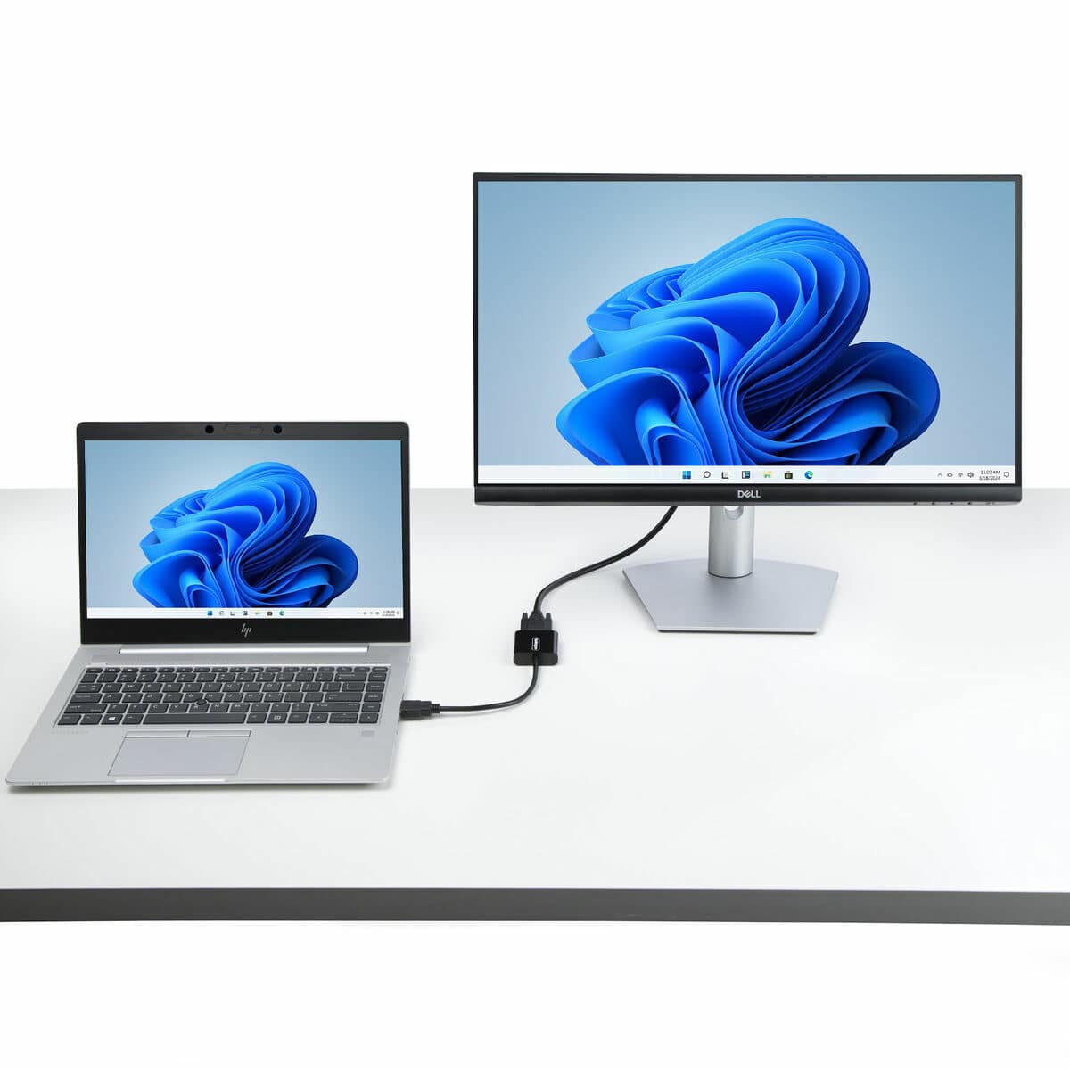 Cable VGA Startech HD2VGAE3 11 S55292349_10