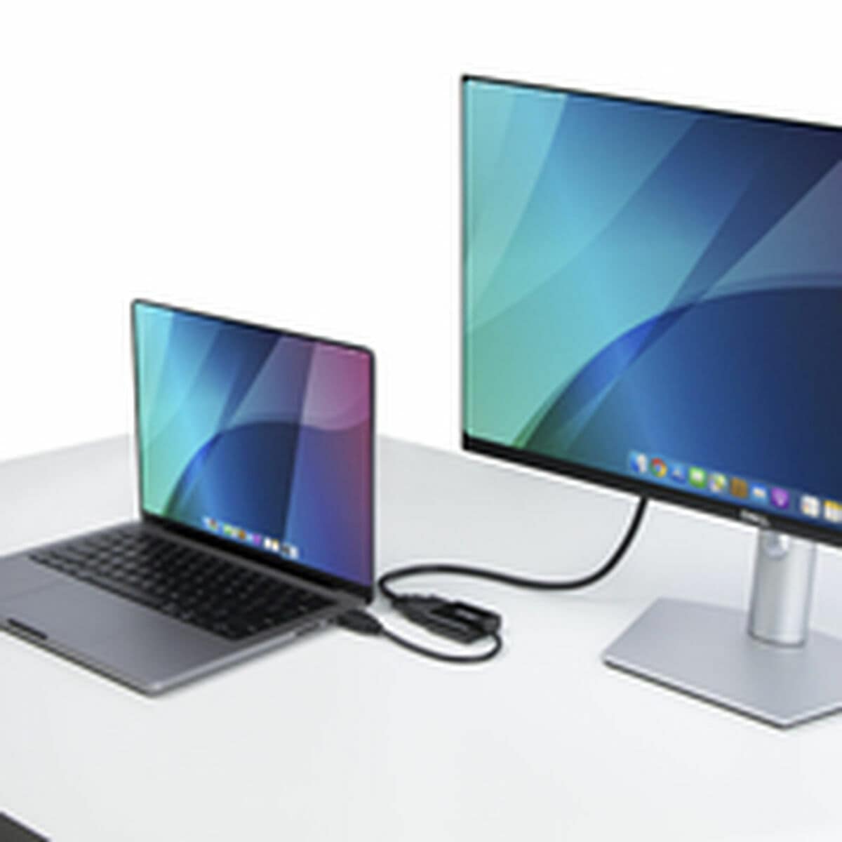 Cable VGA Startech HD2VGAE3 14 S55292349_13