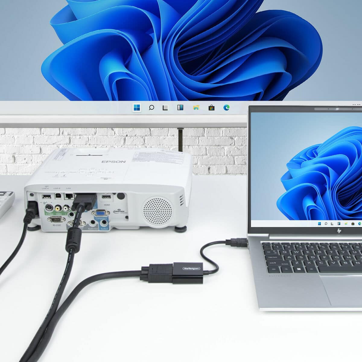 Cable VGA Startech HD2VGAE3 17 S55292349_16