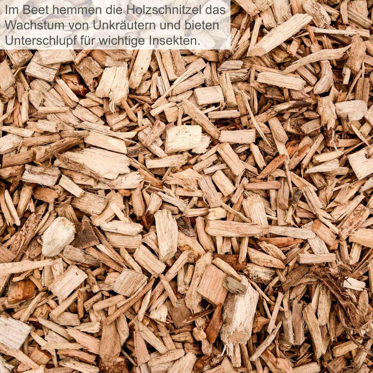 Trituradora de jardín Scheppach GS60 2800 W 60 L 7 S7105773_6