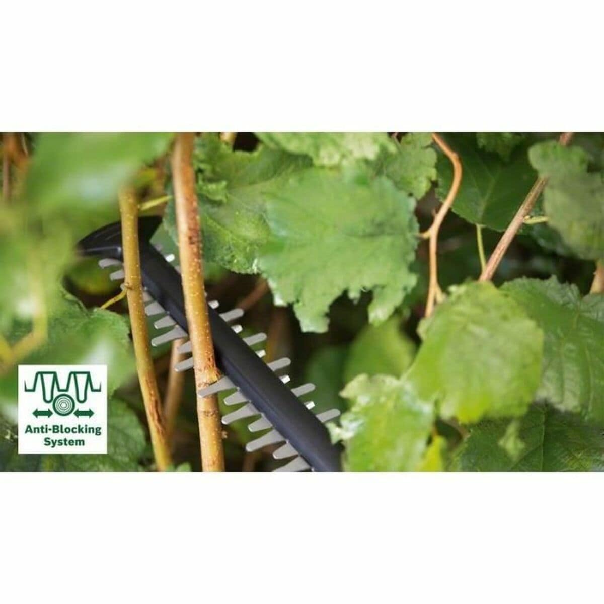 Cortasetos BOSCH 36 V 2 S71007344_1