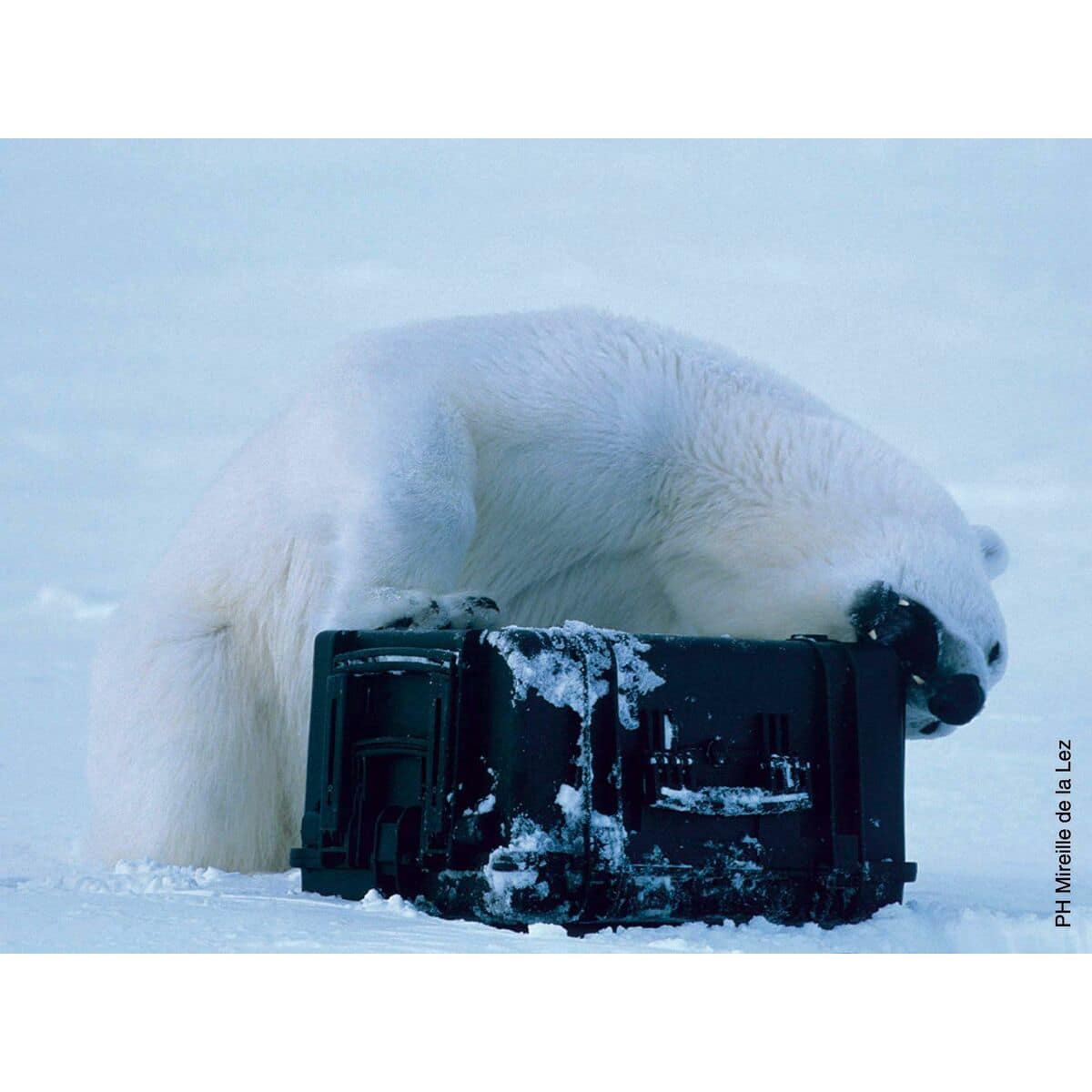 Maletín de Herramientas GT Line EXPLORER 5122 Espuma 54,6 x 34,7 x 24,7 cm 15 M1204172_14