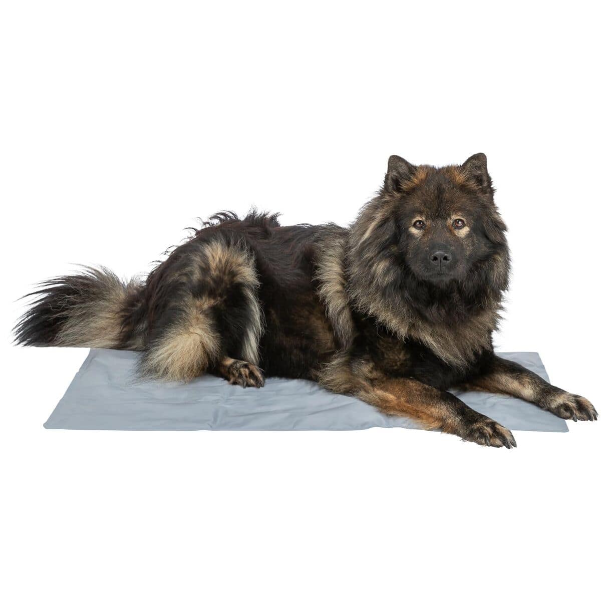 Esterilla Refrigerante para Mascotas Trixie 28684 Azul 20 S0800431_19