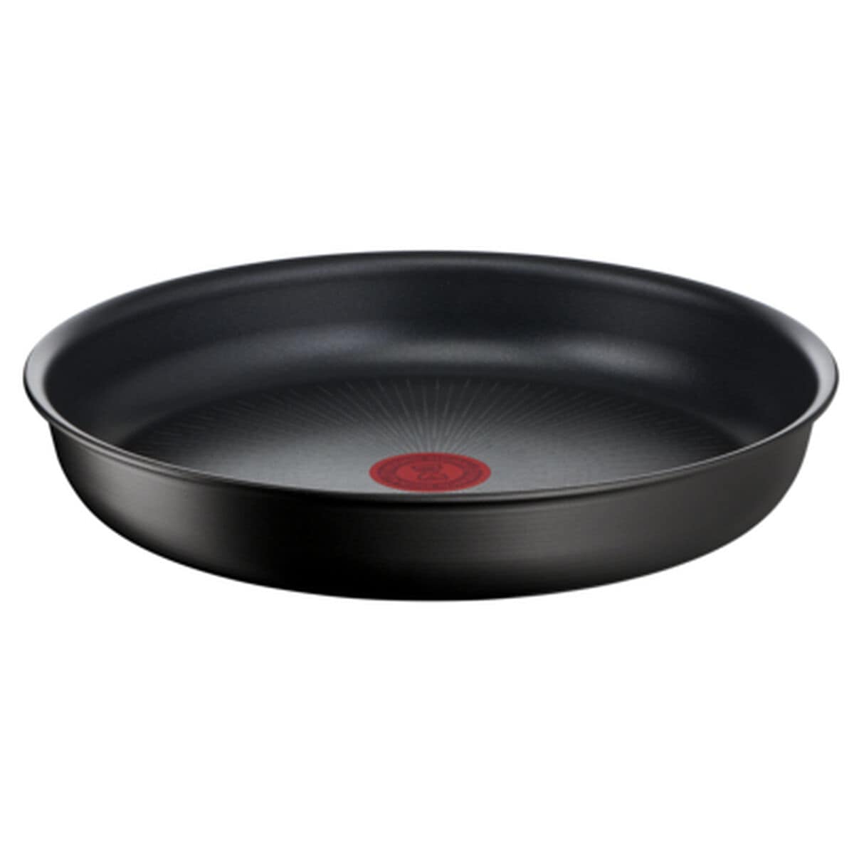 Sartén Tefal L76304 Negro Aluminio Ø 24 cm (1 unidad) 1 S0455823_0