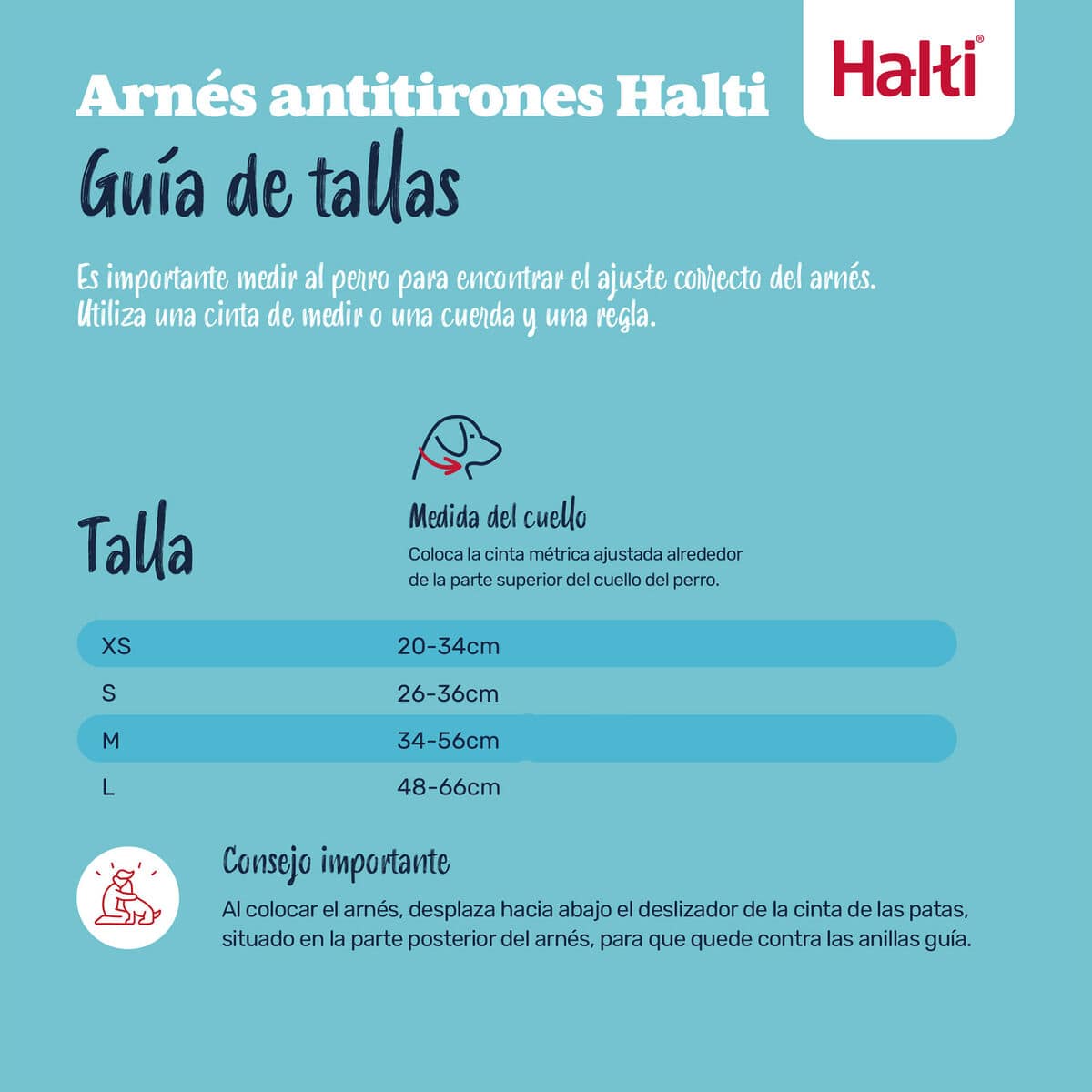 Arnés para Perro Company of Animals COBALT Azul 12 9 S6105363_8