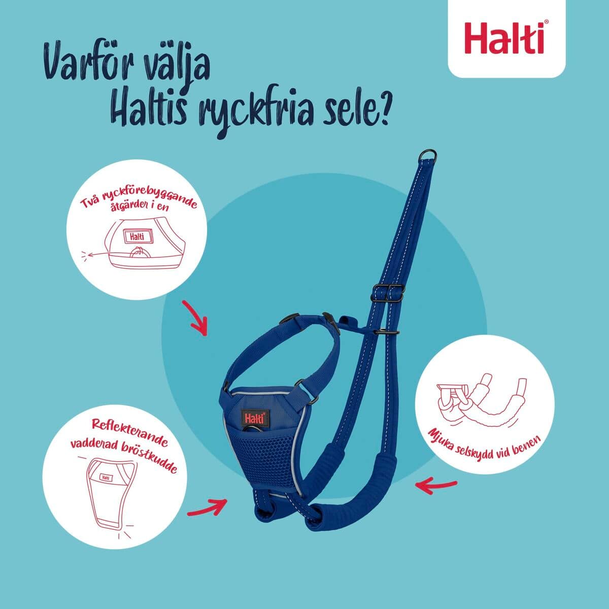 Arnés para Perro Company of Animals COBALT Azul L 3 S6105364_2