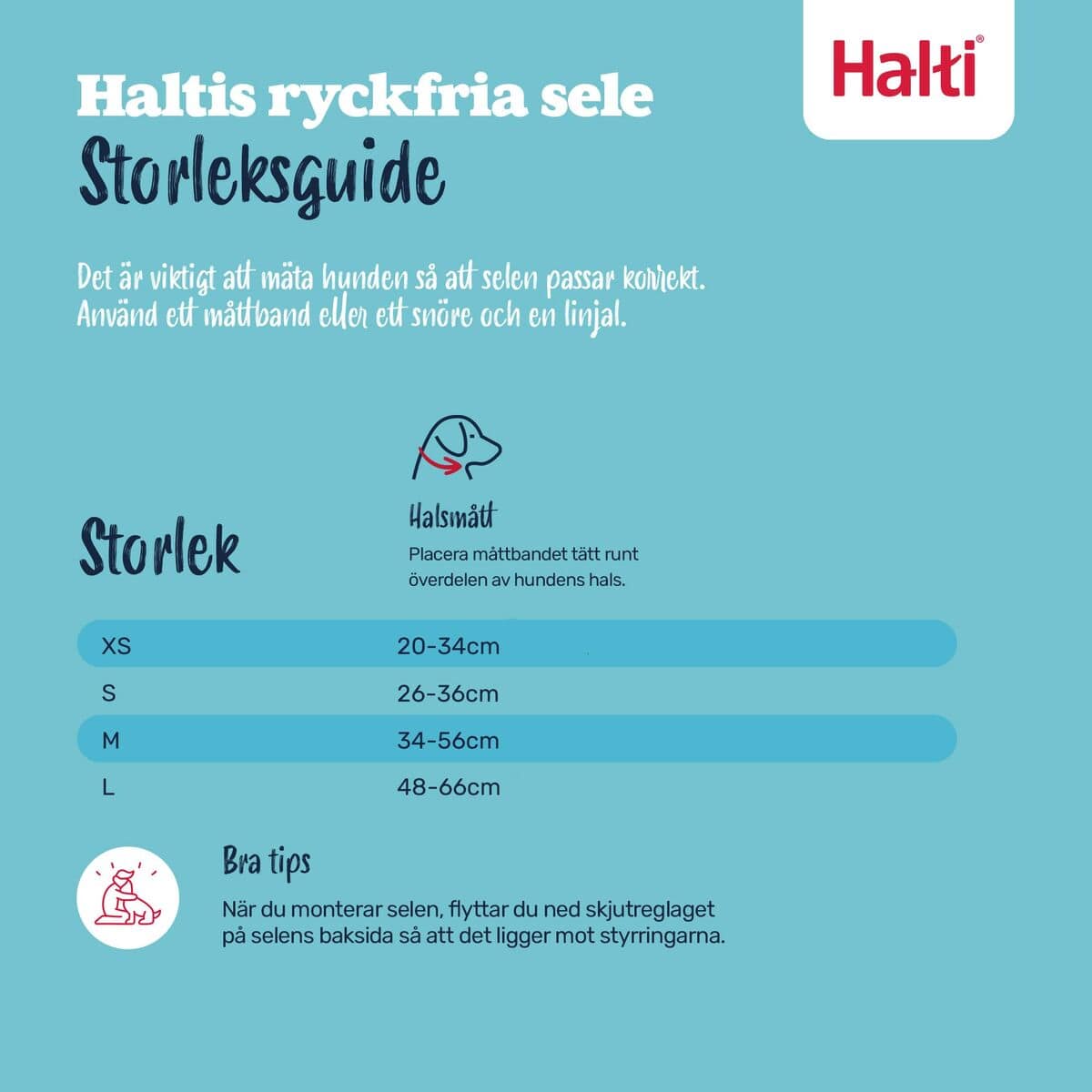 Arnés para Perro Company of Animals COBALT Azul L 5 S6105364_4