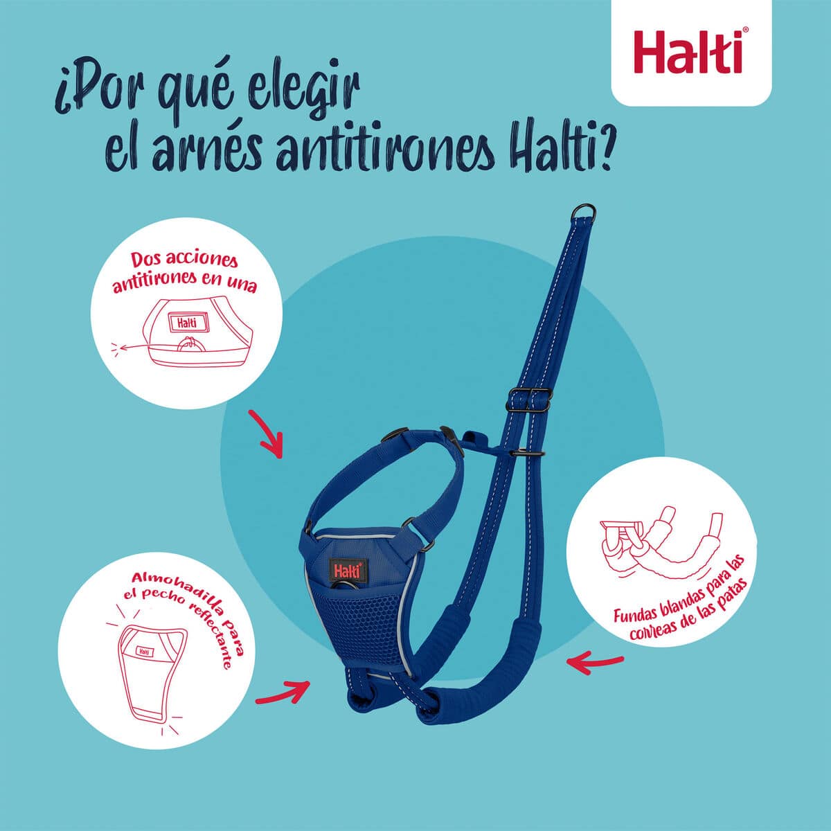 Arnés para Perro Company of Animals COBALT Azul L 12 S6105364_11