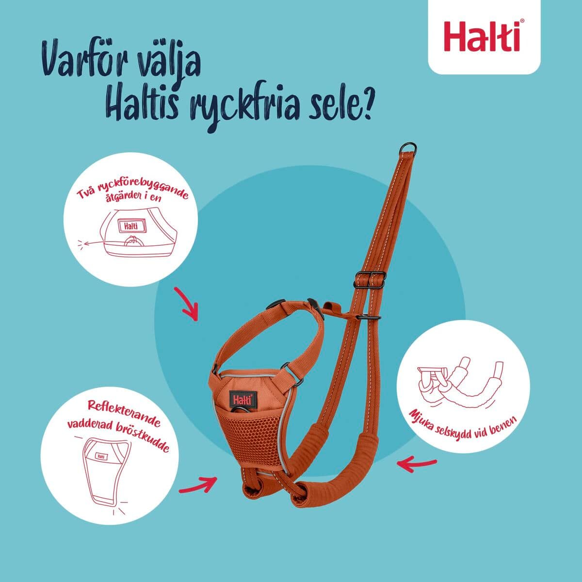 Arnés para Perro Company of Animals BURNT Naranja 12 9 S6105368_8