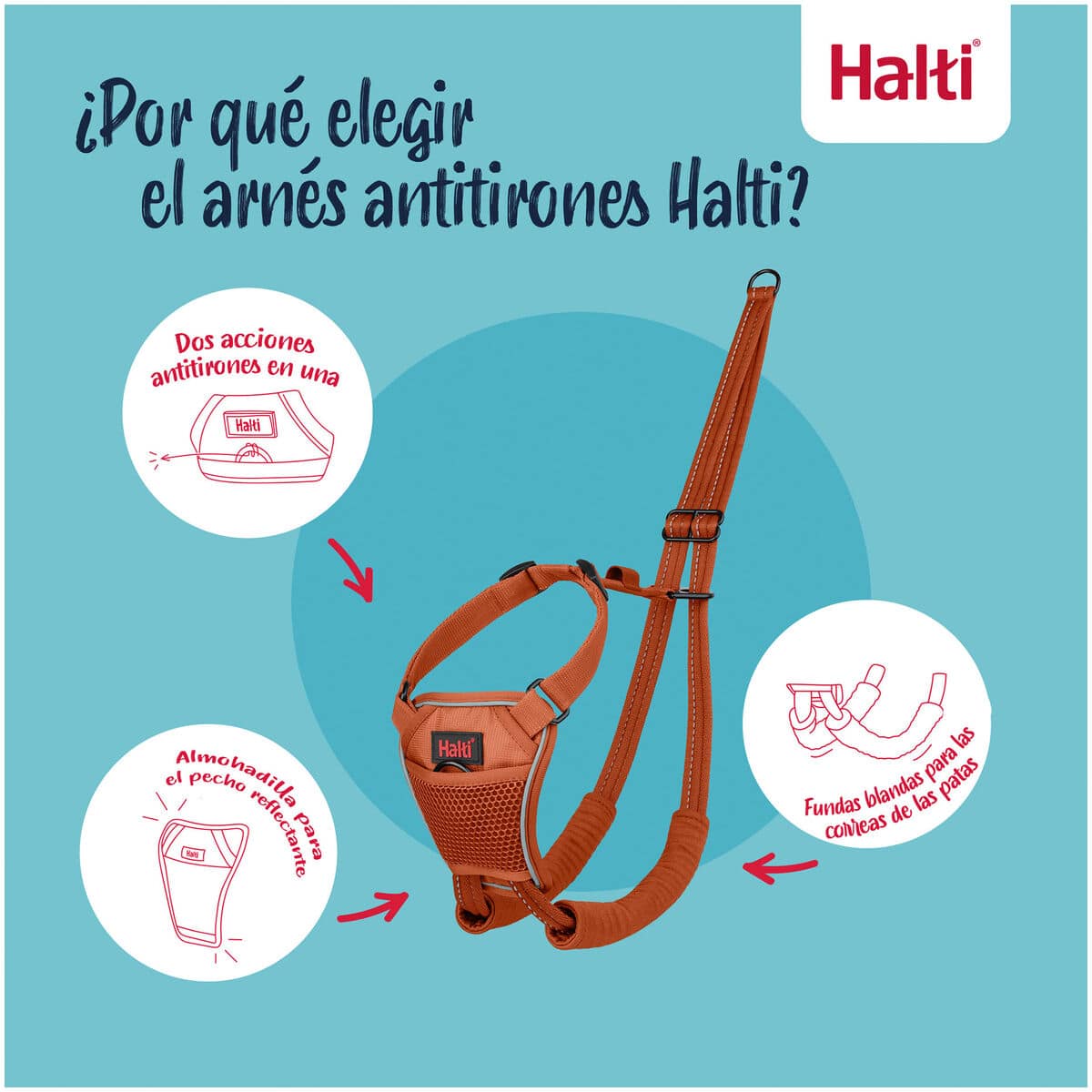 Arnés para Perro Company of Animals BURNT Naranja 12 7 S6105368_6