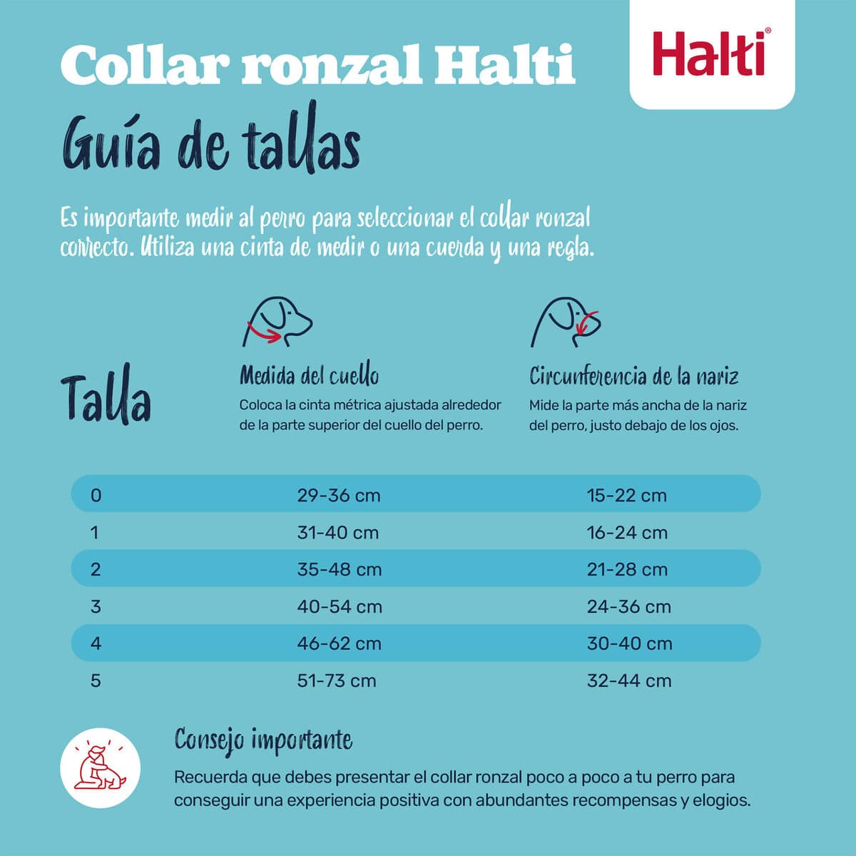 Bozal Company of Animals FOREST Verde Talla 1 2 S6105386_1