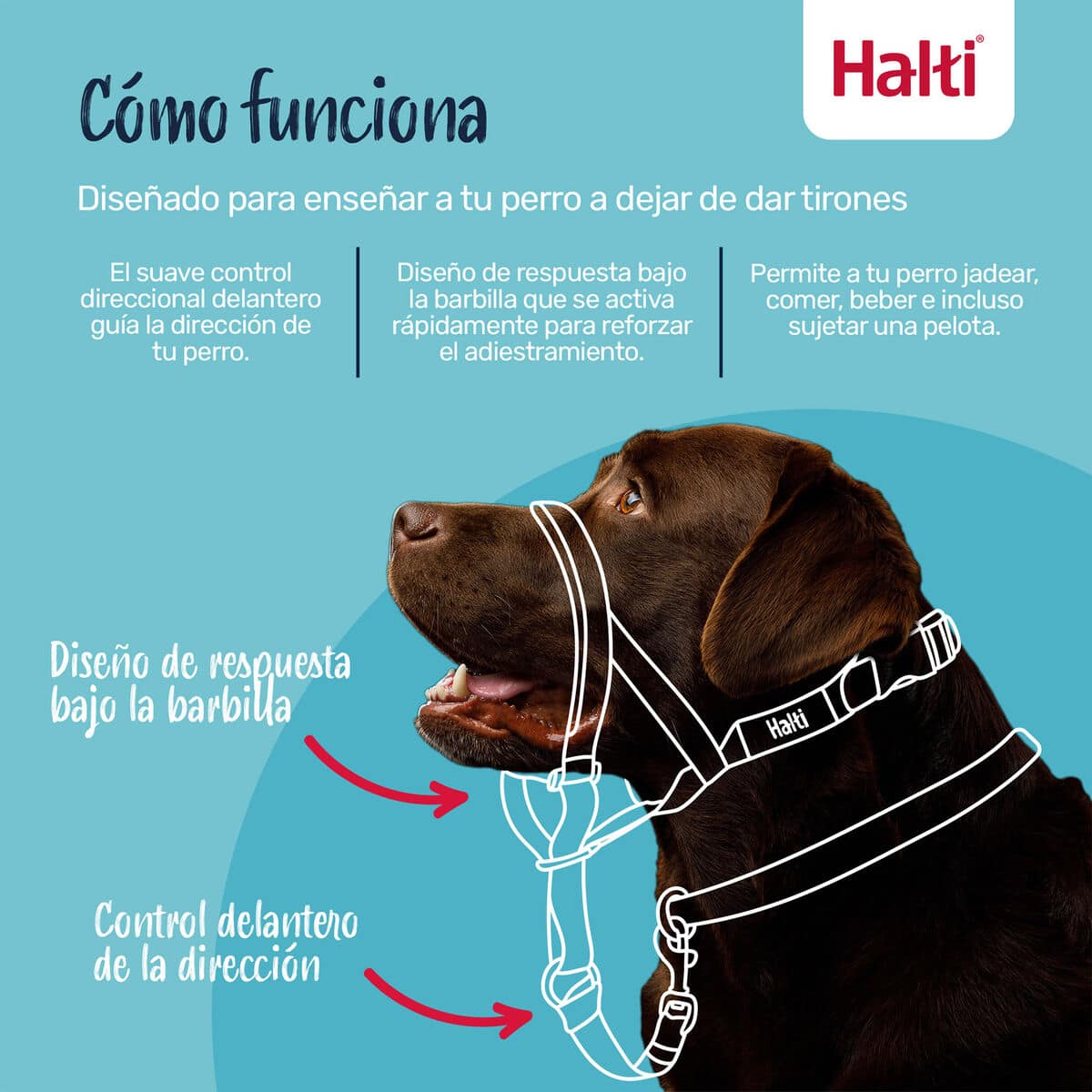 Bozal Company of Animals FOREST Verde Talla 1 4 S6105386_3