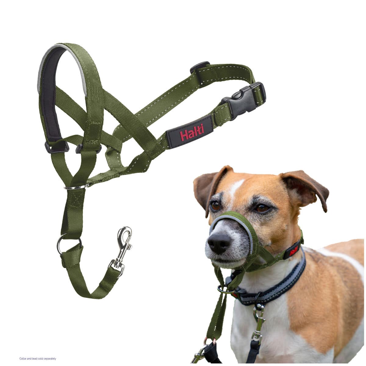 Bozal Company of Animals FOREST Verde Talla 1 6 S6105386_5