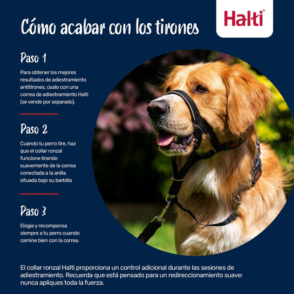 Bozal Company of Animals FOREST Verde 2 3 S6105387_2