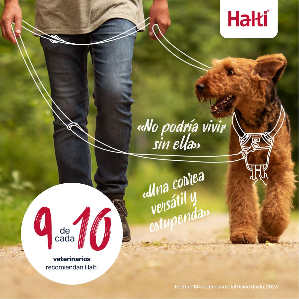 Correa de rastreo Company of Animals Blue 13 S6105357_12