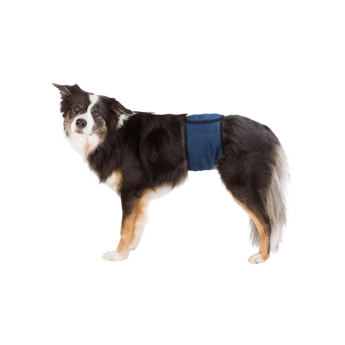 Protector para Incontinencia Trixie Macho Abdomen 1 M0601201_0