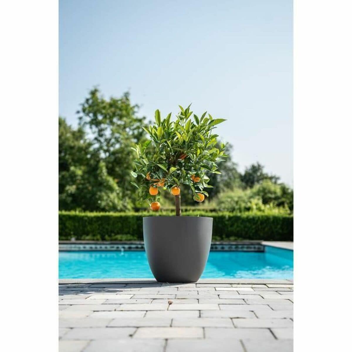 Macetero Garden ID Phoenix Anthracite Antracita 48 x 42 cm 2 S71011252_1